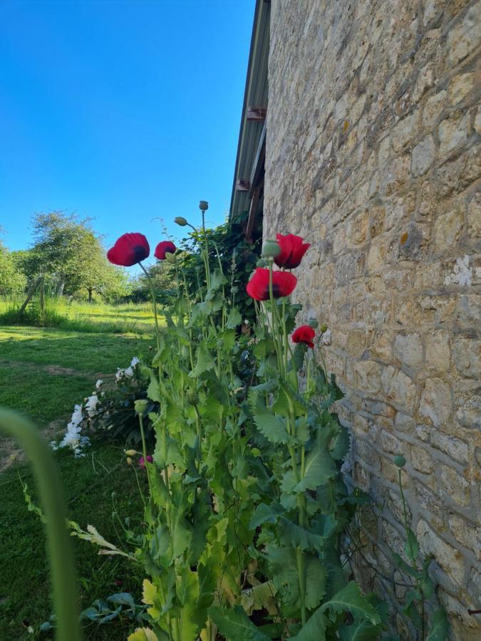 Domaine De La Cour Vautier Mandeville-en-Bessin Exterior foto
